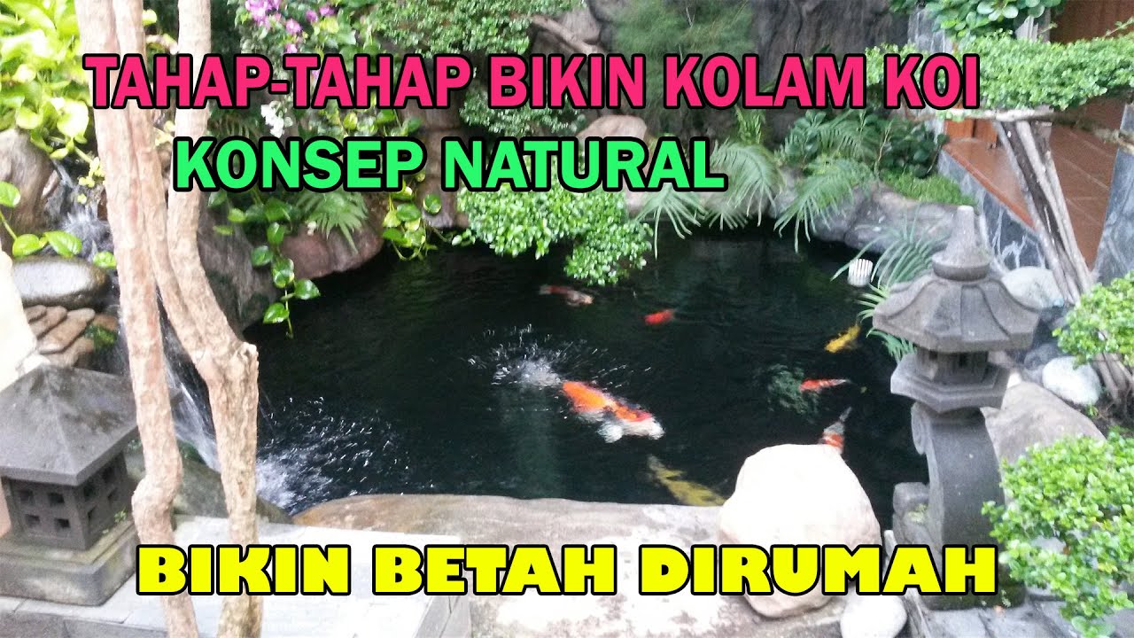 Tahapan Pembuatan Kolam Koi Konsep Natural. HASILNYA BIKIN BETAH DI RUMAH!!!