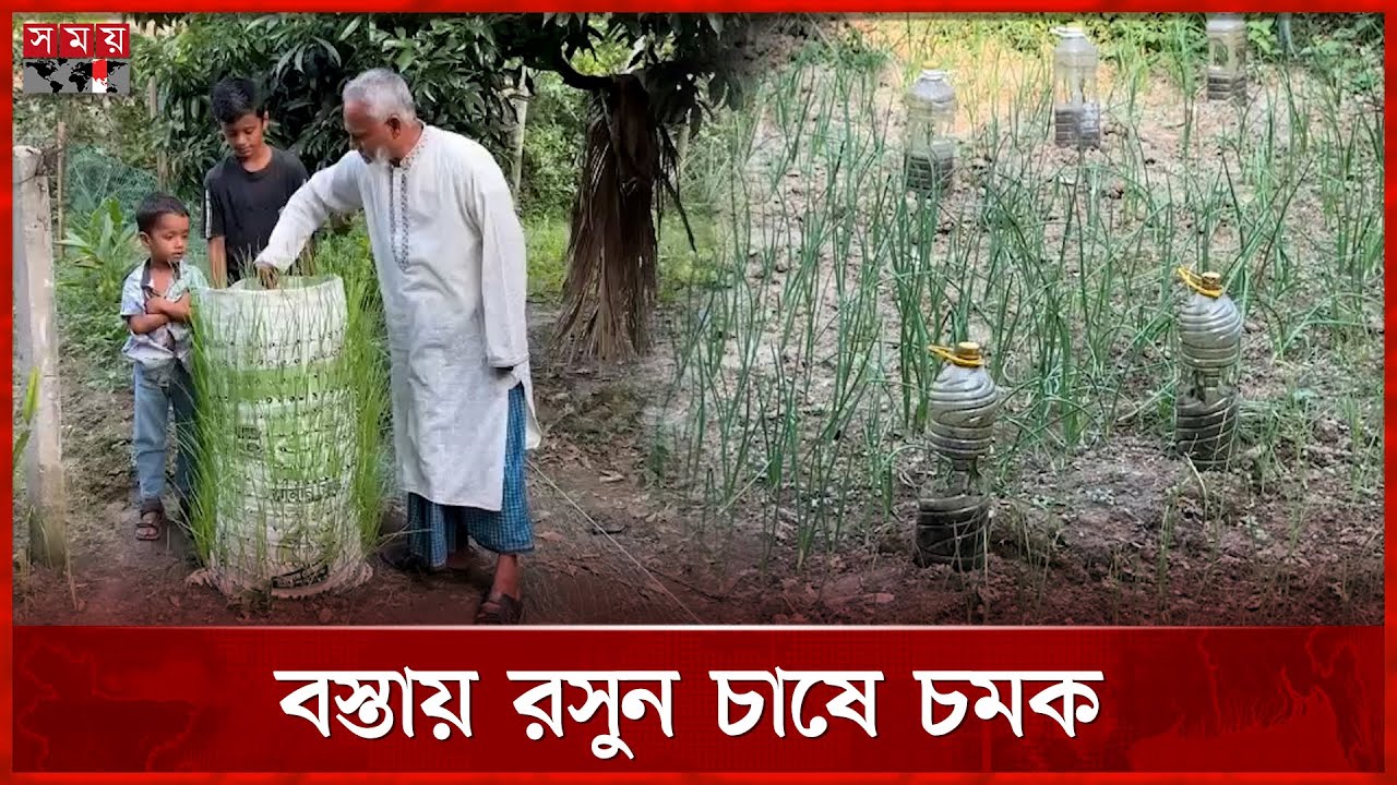 মাঠ ছাড়াই রসুন চাষে সাফল্য দেখিয়েছে হিলির কৃষকরা | Garlic Cultivation | Hili | Farmer | Somoy TV