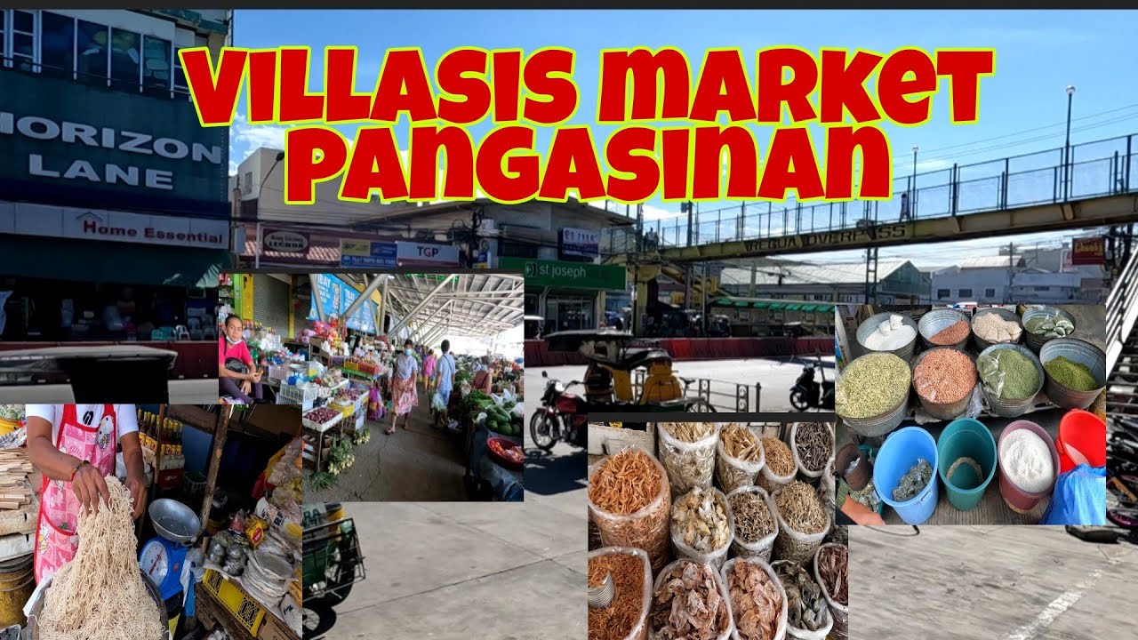 Villasis Pangasinan Market Adventure | Ang sarap ng Fresh noodles at tupig..
