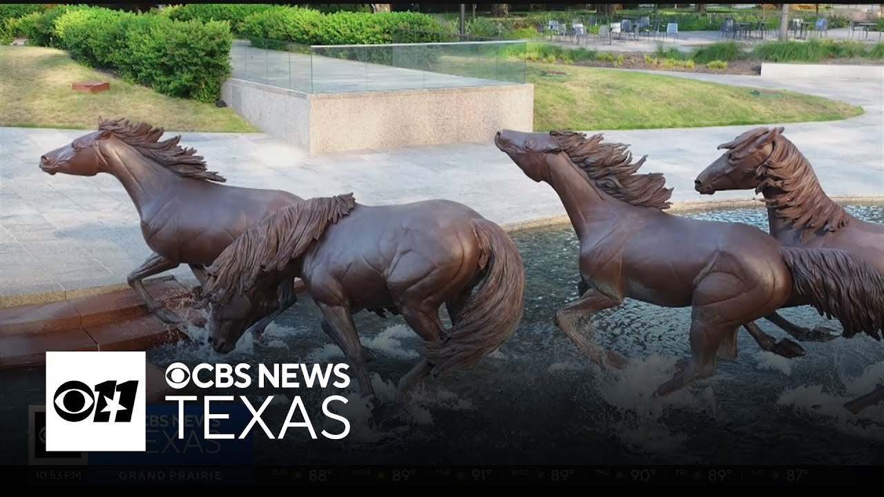 The Mustangs of Las Colinas celebrate 40 Years as iconic North Texas landmark
