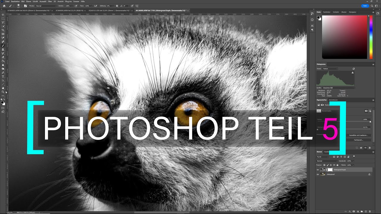 PHOTOSHOP Teil 5 | Warum Ebenenmasken so wichtig sind | Maskieren einfach erklärt