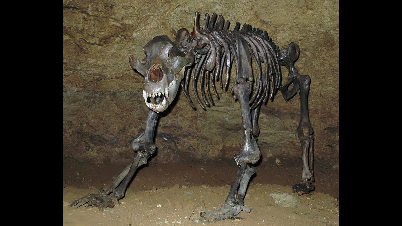 Helmut Baer Die Teufels- und die Windlochhöhle - Pottenstein