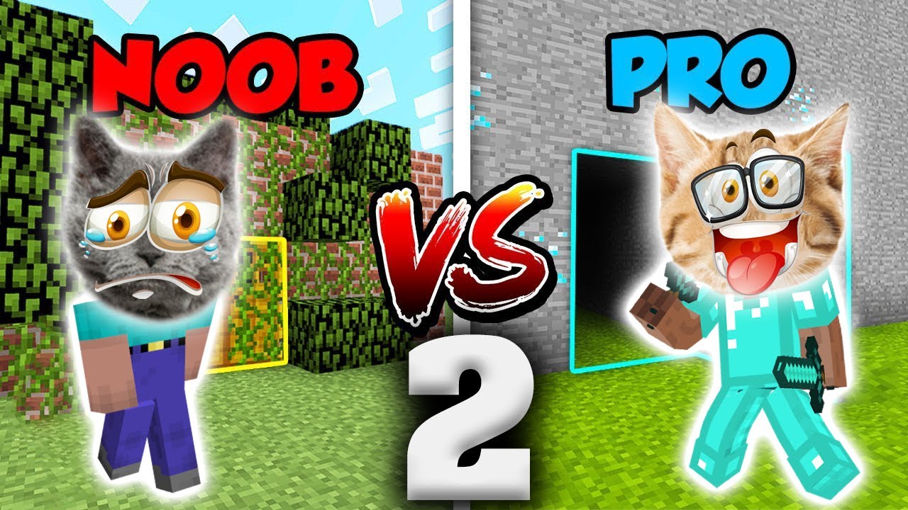 💩 NOOB GAFFUR VS 💎PRO SELAMİ - Minecraft Mod