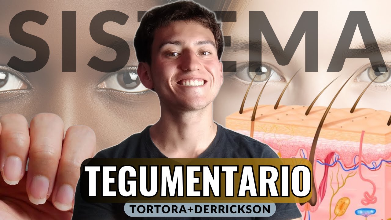 Sistema Tegumentario: TODO lo que debes saber seg&uacute;n Tortora y Derrickson