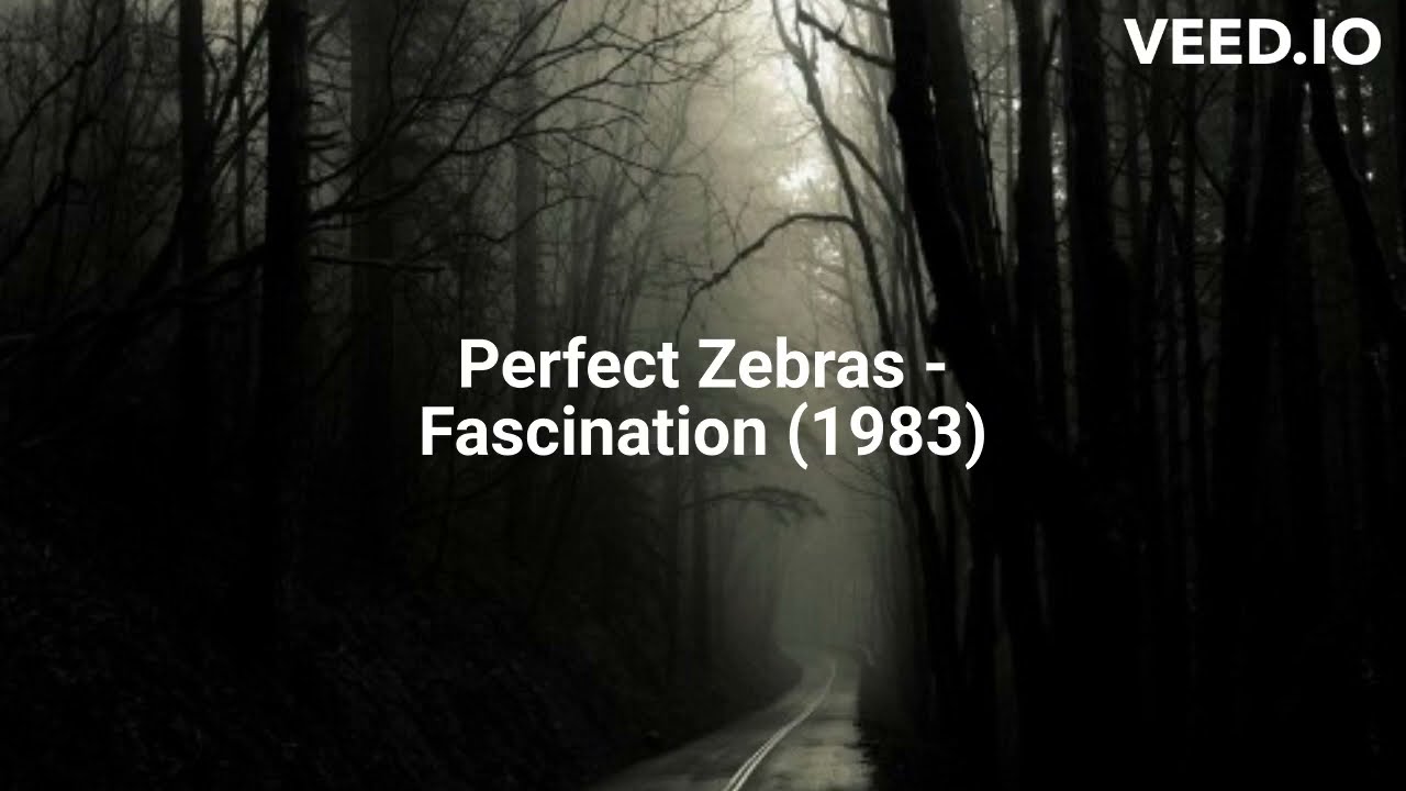 Perfect Zebras - Fascination (1983)
