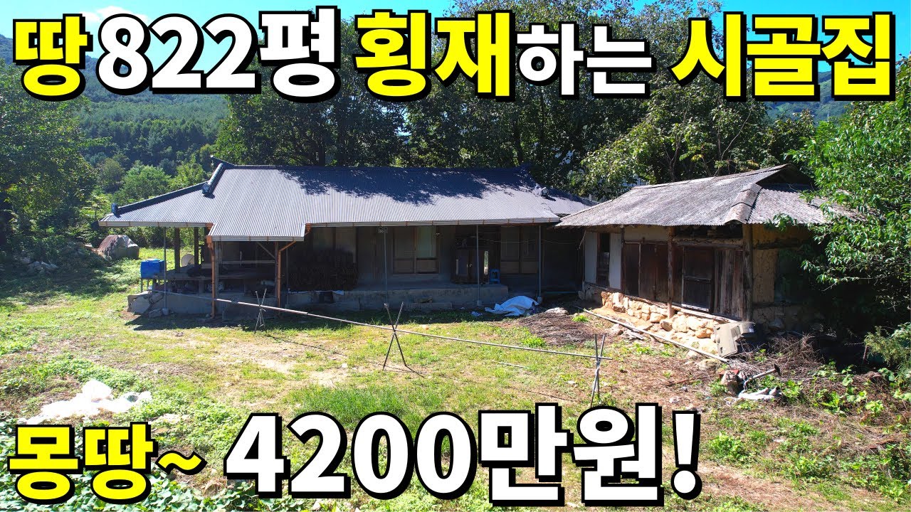 땅822평 초헐값 시골집! 수~억짜리 대폭락 결국~몽땅 4,200만원! 텃밭이 축구장 수준~
