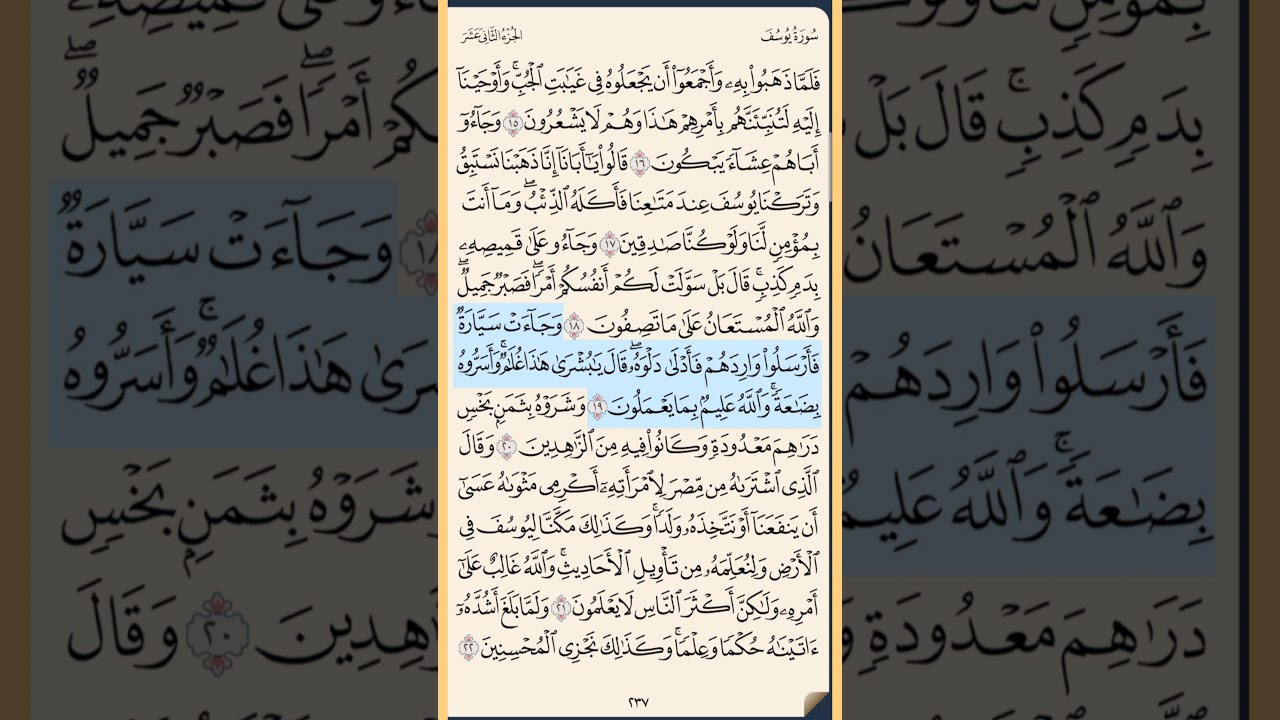 القرآن الكريم سورة يوسف من الآية الكريمة 15 إلى الآية الكريمة 30 محمد ايوب