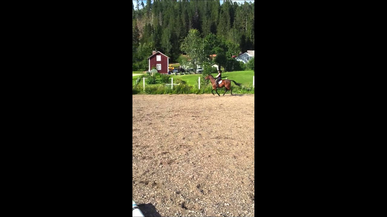 NoseGuard - 19 Augusti 2013