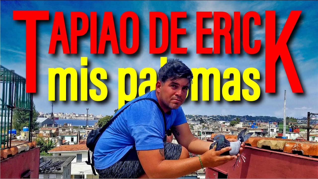 Palomar y Tapiao de ERICK en REGLA / 2da Parte