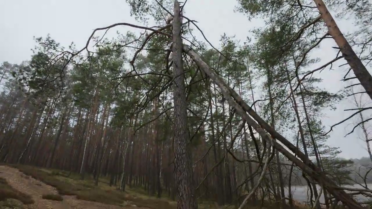 Nowe rezerwaty w Męcikale -   Rozkminki starego grzyba