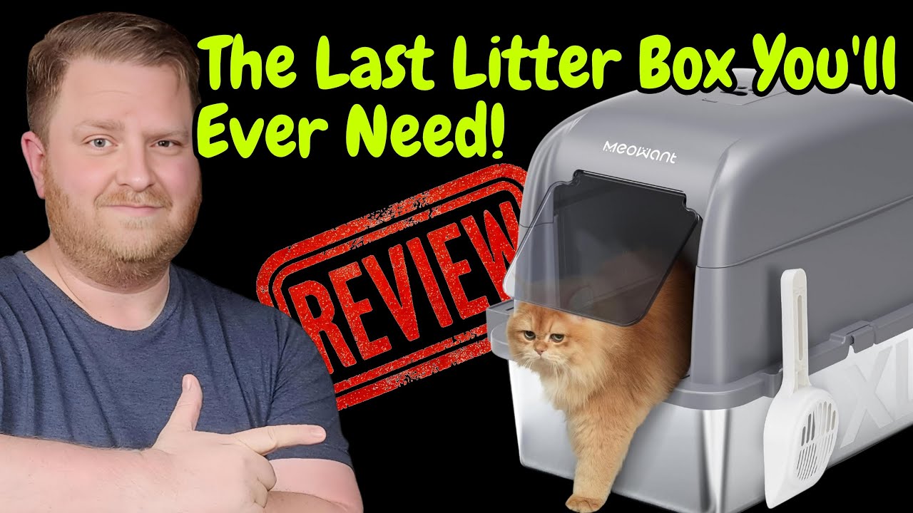 Meowant Stainless Steel Cat Litter Box Review: Best for Odor Control!