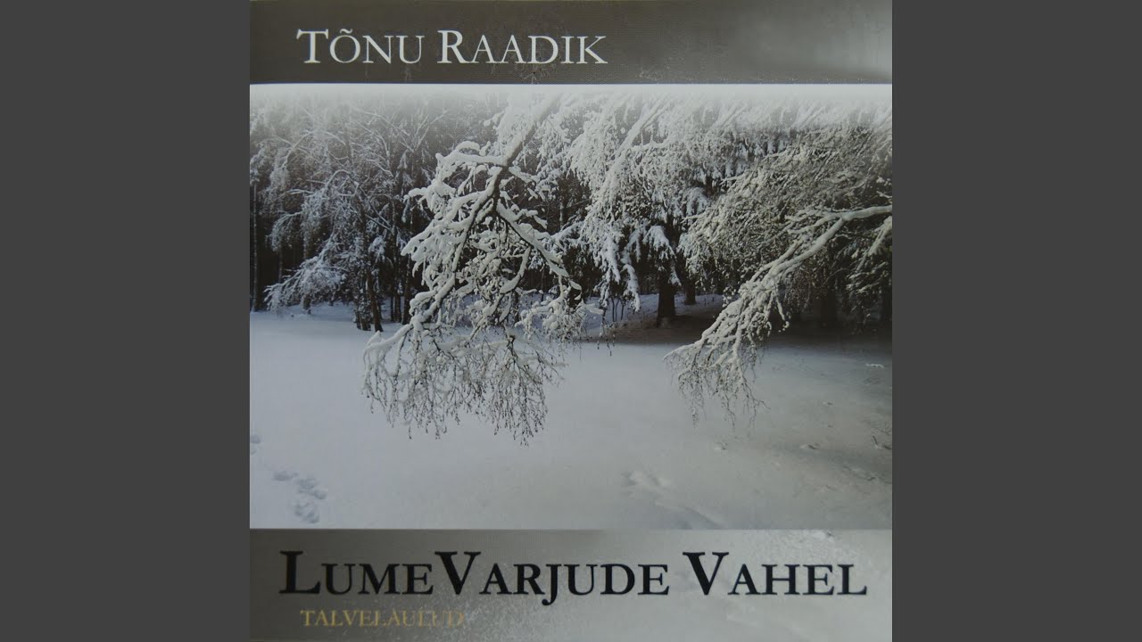 Lumevarjude Vahel (feat. Riho Sibul)