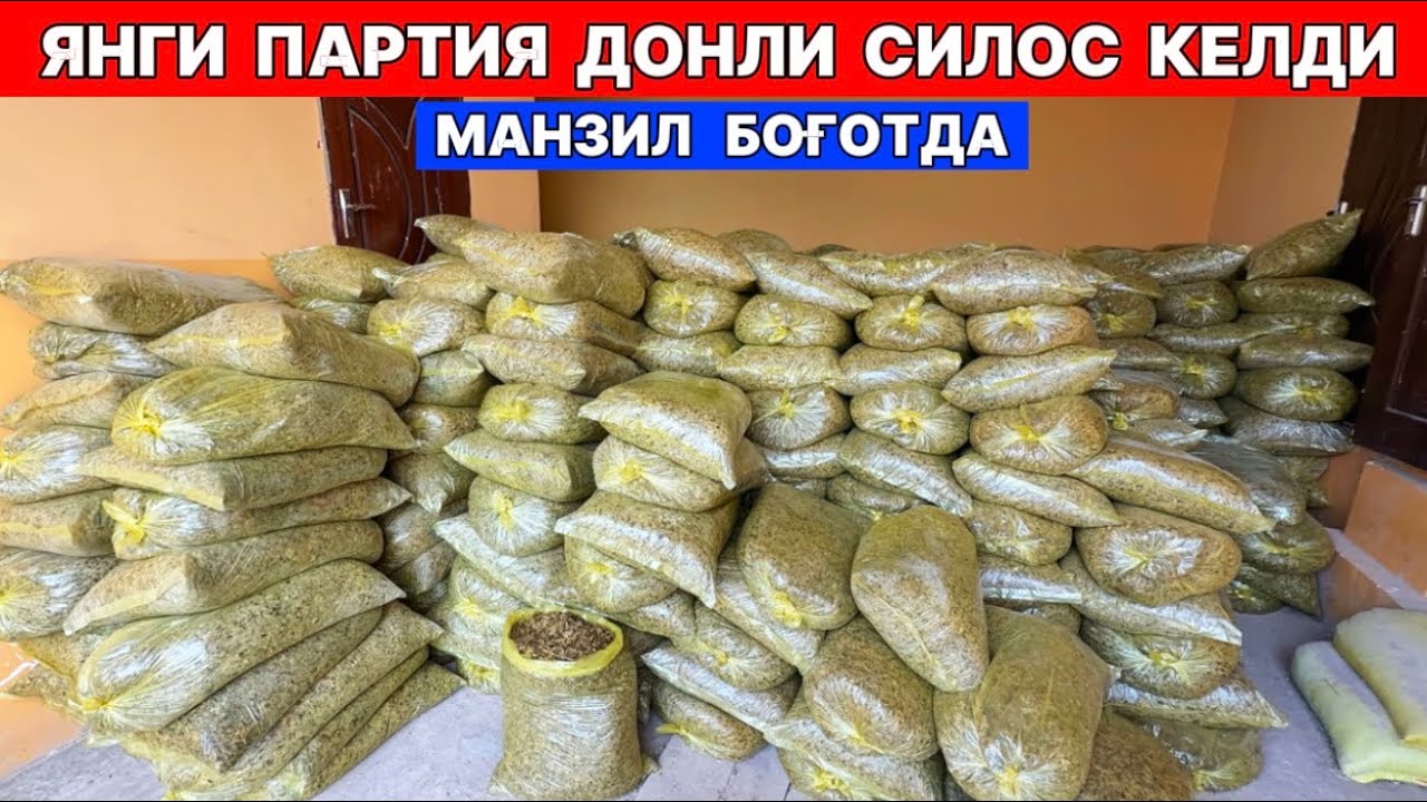 ЯНГИ ПАРТИЯ ДОНЛИ СИЛОСЛАР КЕЛДИ МАНЗИЛ БОҒОТДА !!! ХОРАЗМ БОЗОР
