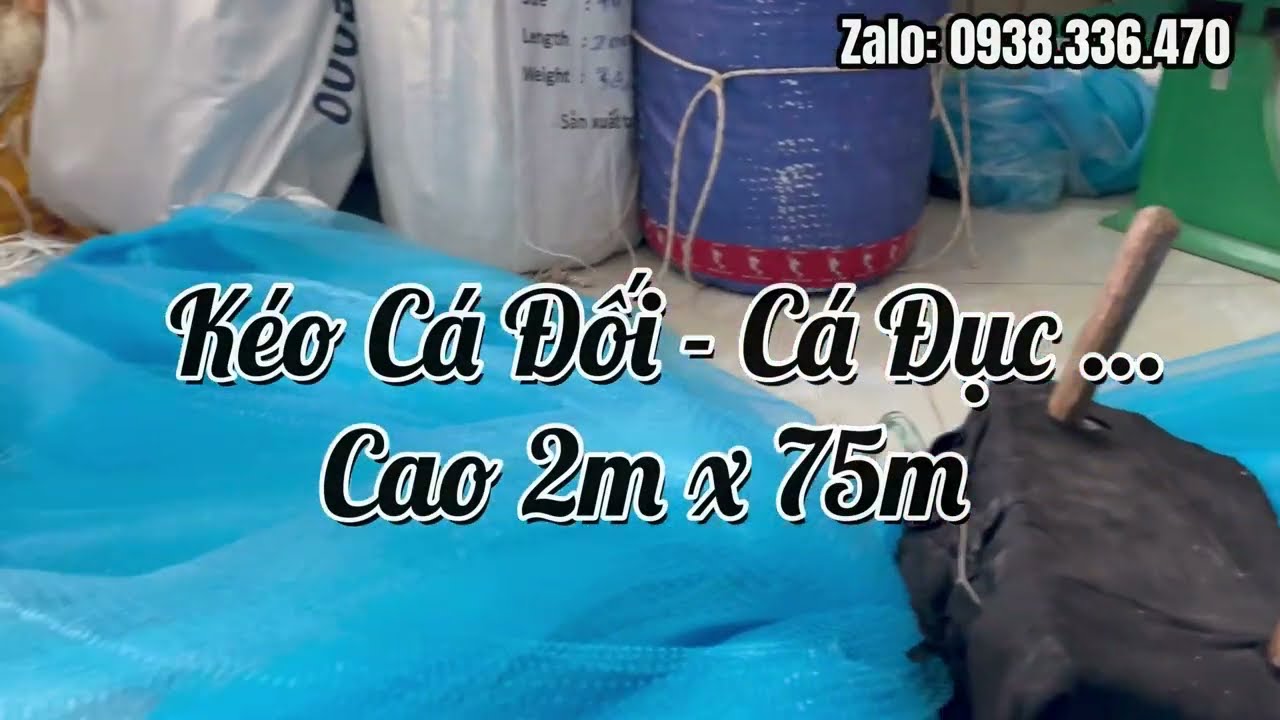 Lưới K&eacute;o C&aacute; Đối - C&aacute; Đục . Cước Đ&uacute;c Th&aacute;i 2x75m / Phao ABS Đỏ / Mắt 2cm /M&agrave;u Xanh Đại Dương . Bao Vip
