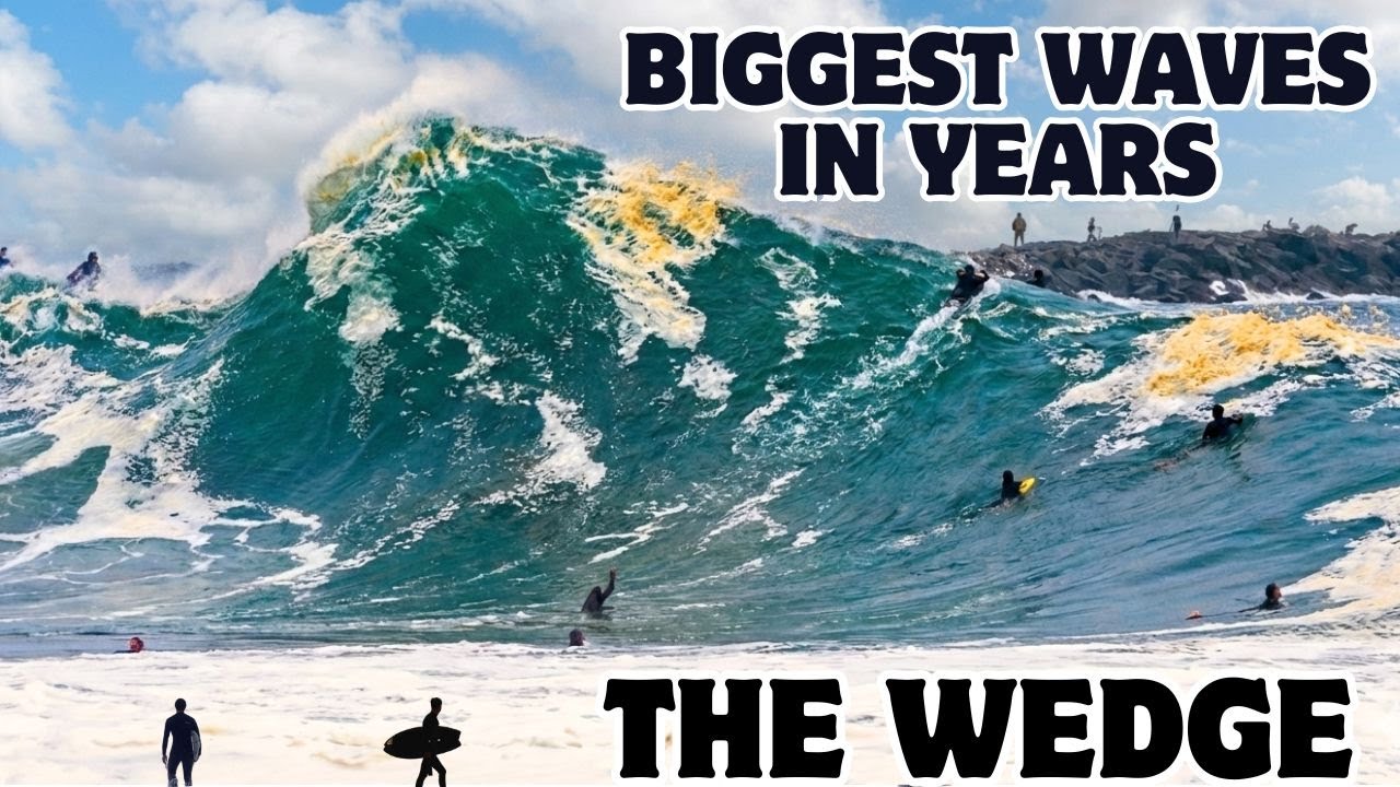 The Wedge | Best and Biggest Waves In Years | Compilation
