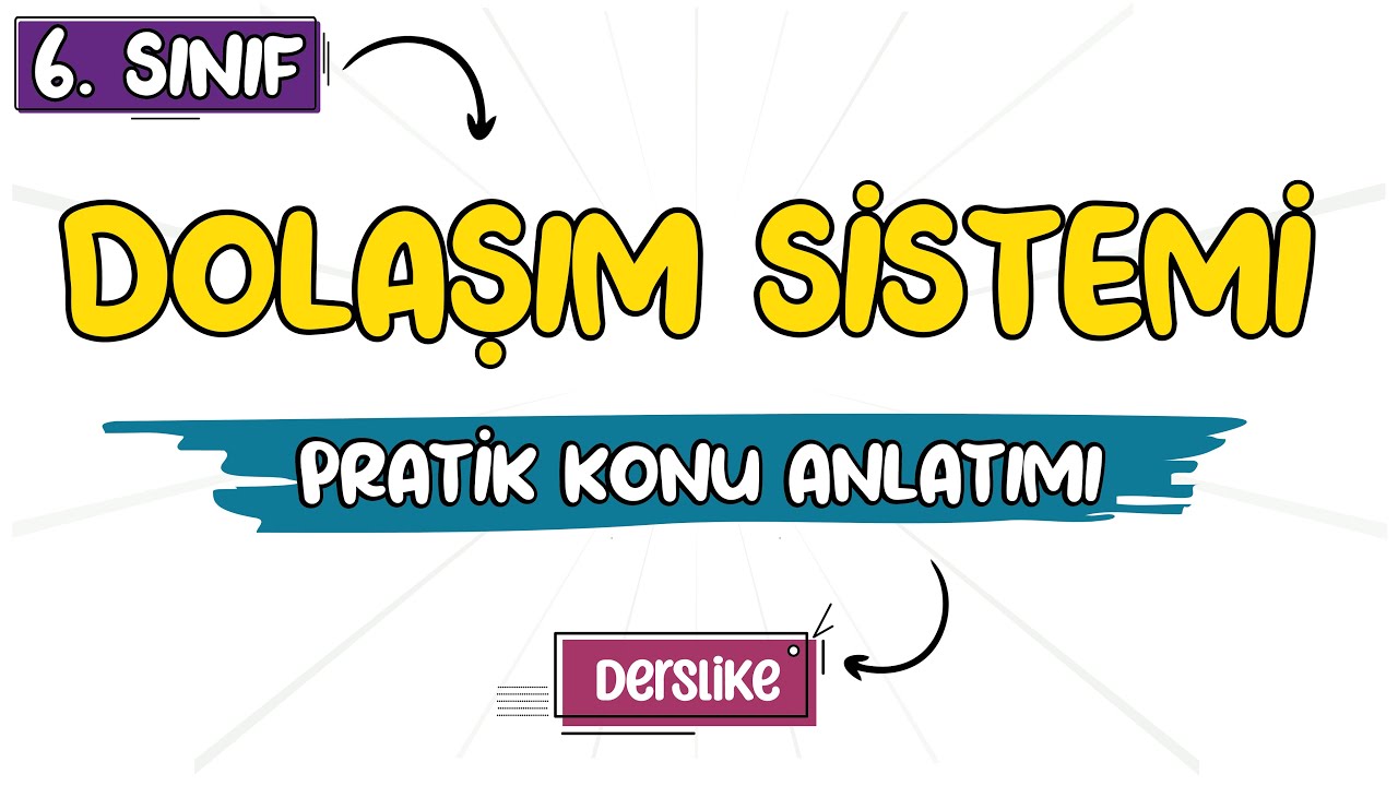 Dolaşım Sistemi | 6. Sınıf Fen Bilimleri | 2023