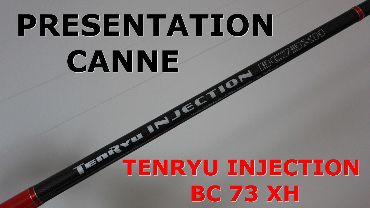 Présentation Canne Tenryu Injection BC 73XH