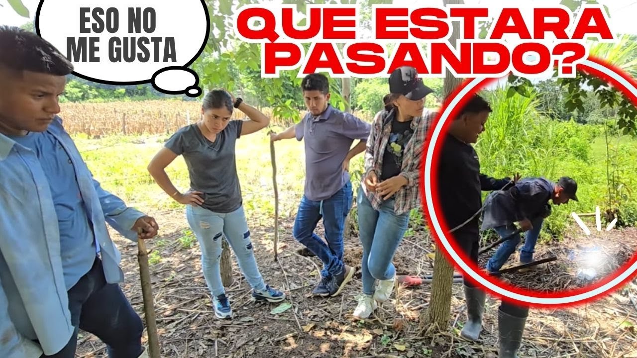 Sin querer encontramos COSAS RARAS EN EL TERRENO DE MARIANA🤯 lo que vimos nos dio mucho asco🤮😱
