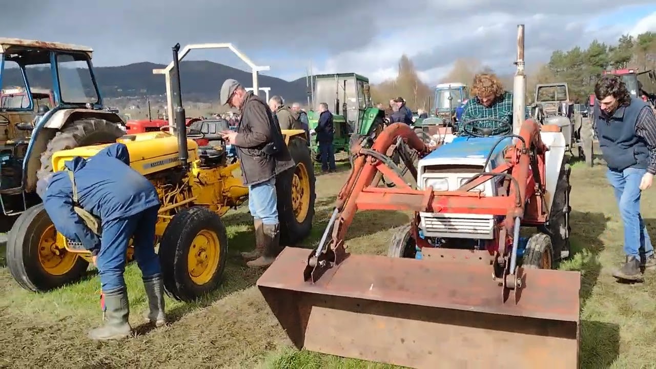 Tractor World Malvern. Auction Field.