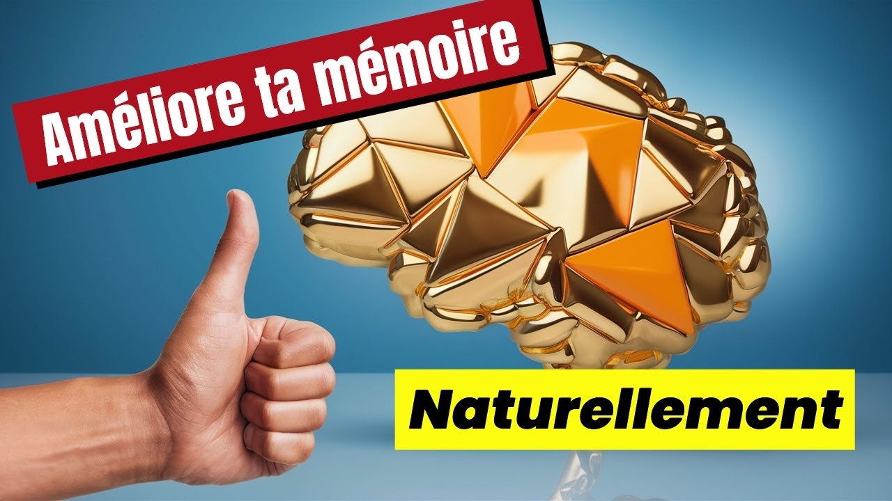 Améliorer sa Mémoire Naturellement : Les Preuves Scientifiques qui Changent Tout