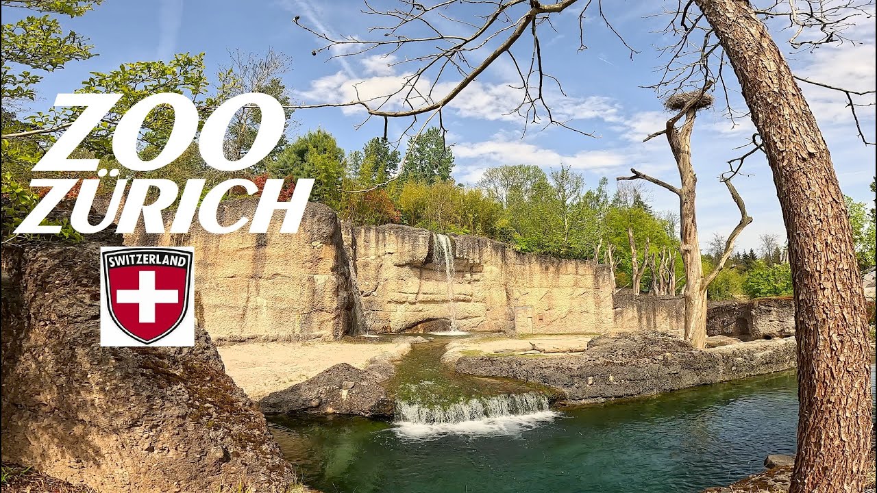 ZOO ZÜRICH - 4K