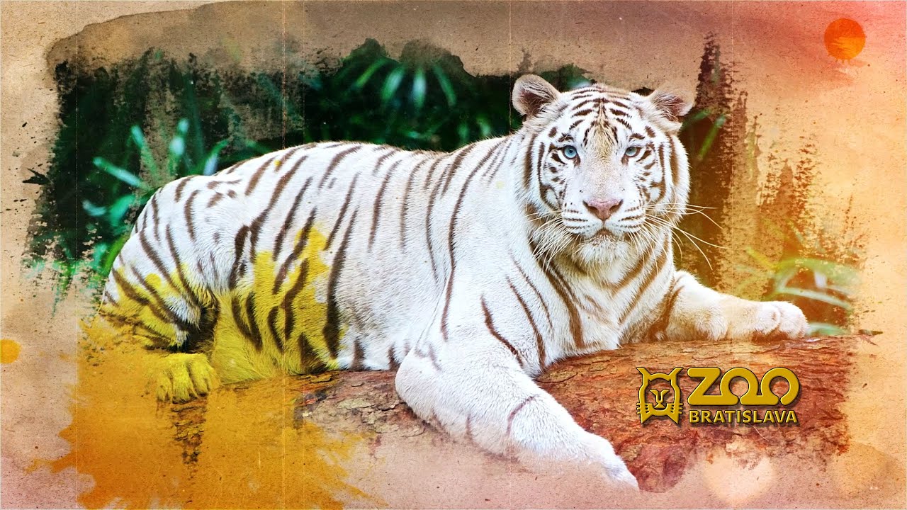 Zoo Bratislava