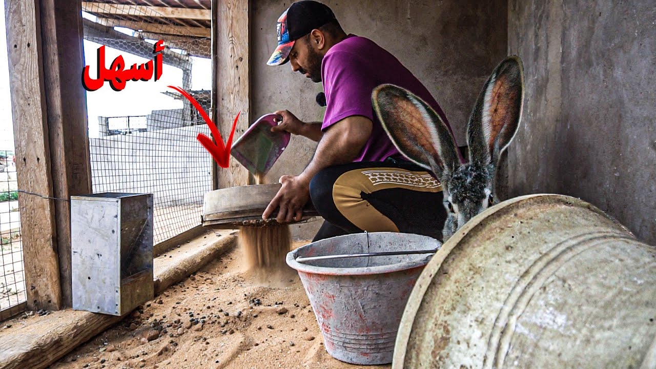 نجاح فكرة الارضية الرملية في بيت الارانب