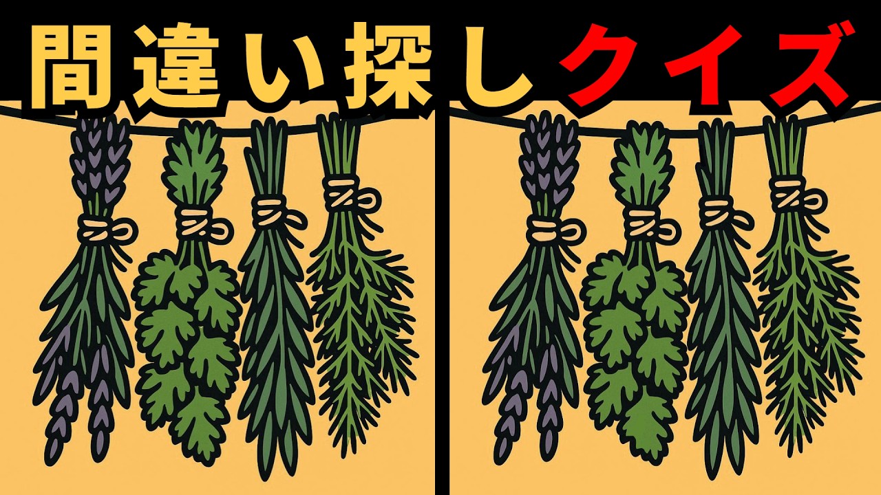 【間違い探し】頭のモヤモヤを晴らす。スッキリ脳トレ