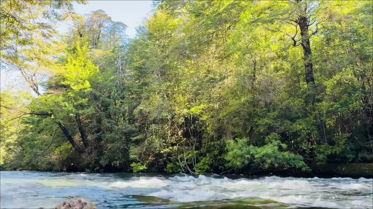 Relaxing ambient sound and flow of serene water #relaxing #vibesrelaxantes #ambientsounds 