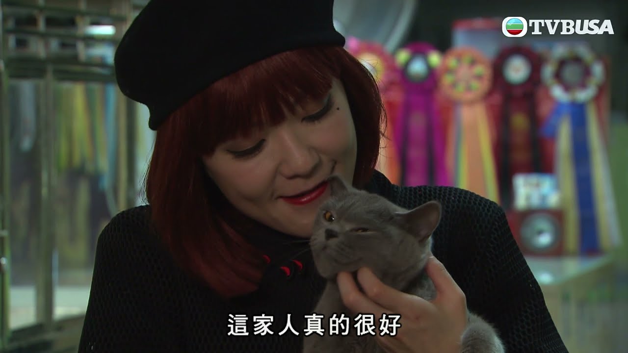 來自喵喵星的妳 | 阿Miu最後嘅結局會係點？