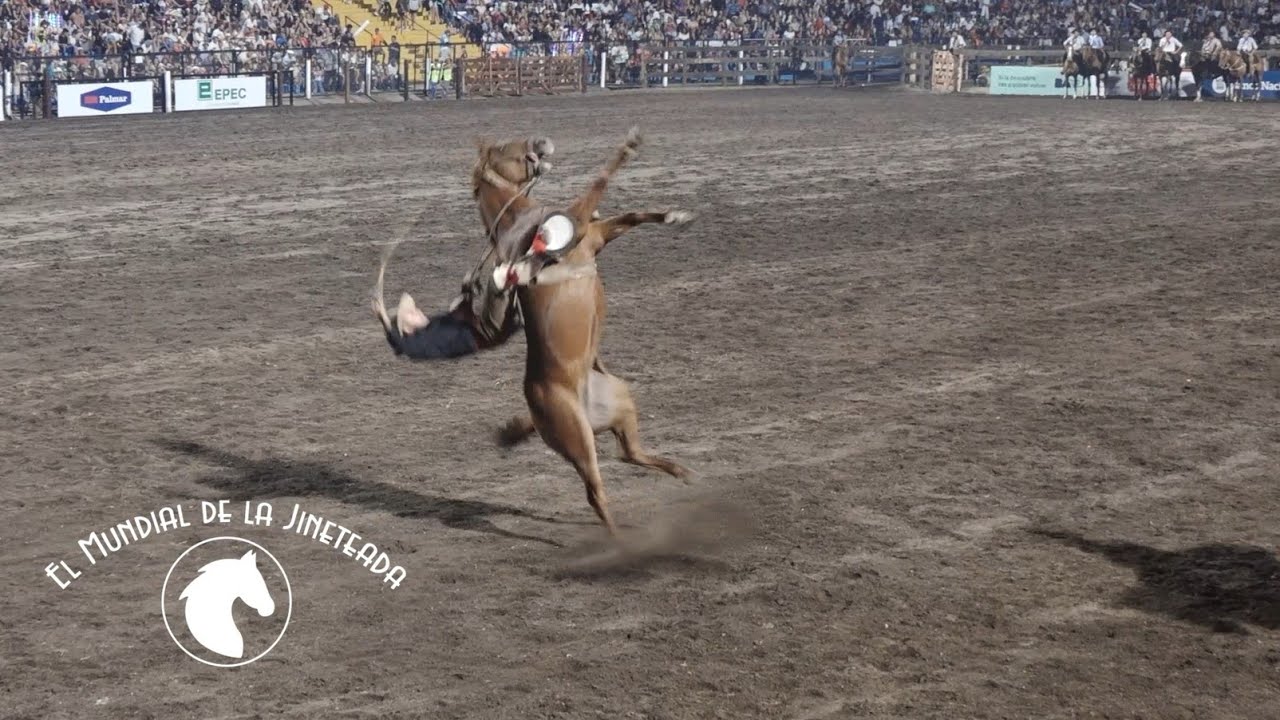 El Mundial de la Jineteada 176