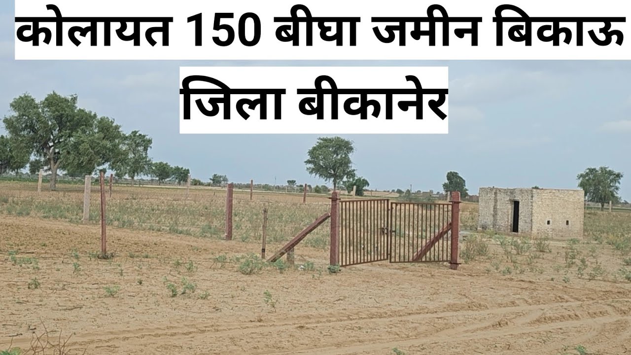 कोलायत की 150 बीघा जमीन बिकाऊ जिला बीकानेर। राजस्थान की सस्ती जमीन बिकाऊ। #land #landforsale 