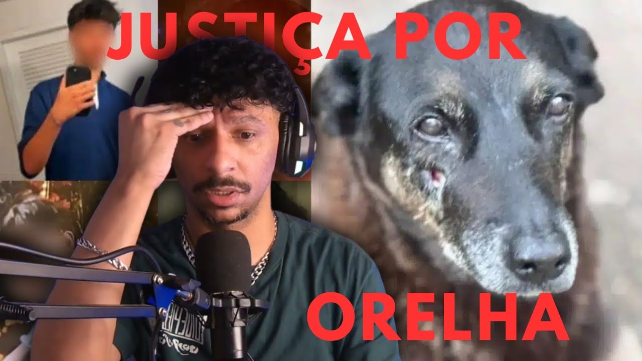 React Caso Orelha (JUSTIÇA POR ORELHA) Part.2