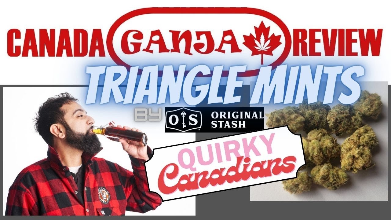 The Cheapest weed we have reviewed! Triangle Mints By Original Stash Quirky Canadians Episode 014