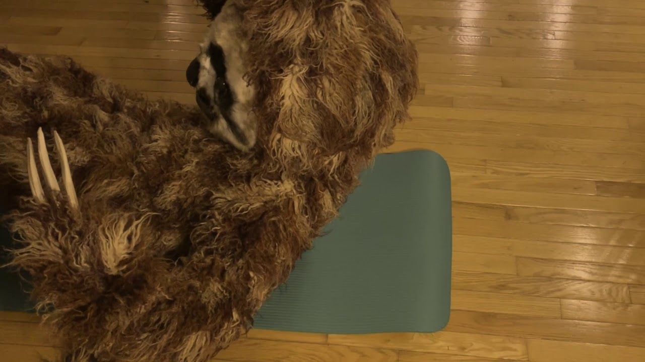 crunches