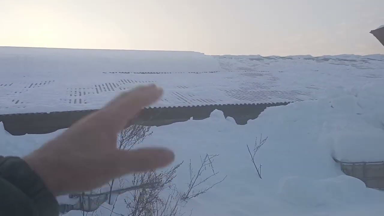 50 тонн снега на крыше коровника