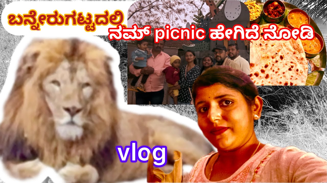 Bannerghatta safari#one day picnic with kids#vlog#