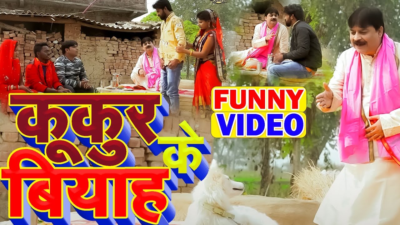 #comedy | कूकुर के बियाह भोजपुरी कॉमेडी | #Anand Mohan Comedy | #fekubabacomedy #funnyvideo 2023