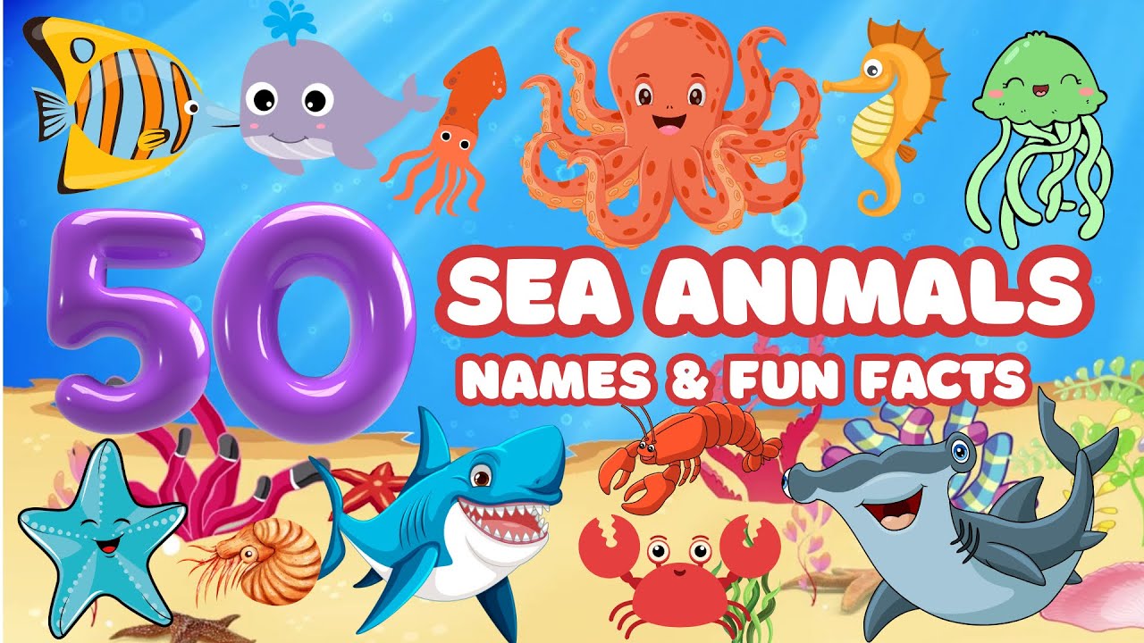 50 Amazing Sea Animals for Kids | Names & Fun Facts!