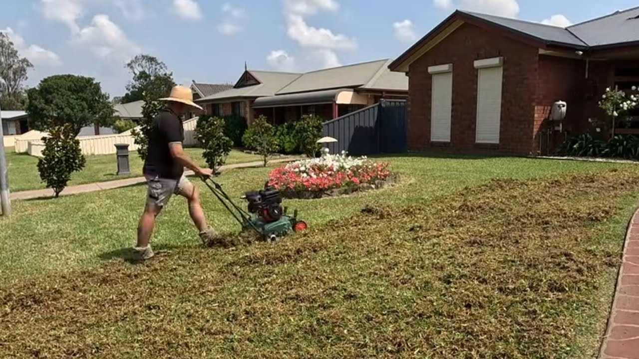 Is Scarifying Your Buffalo / St. Augustine Lawn Worth It? You’ll Be Surprised! 👀