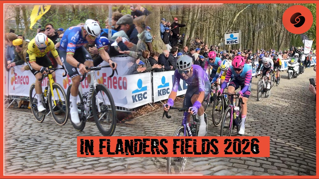 IN FLANDERS FIELDS 2026/ GENT-WEVELGEM