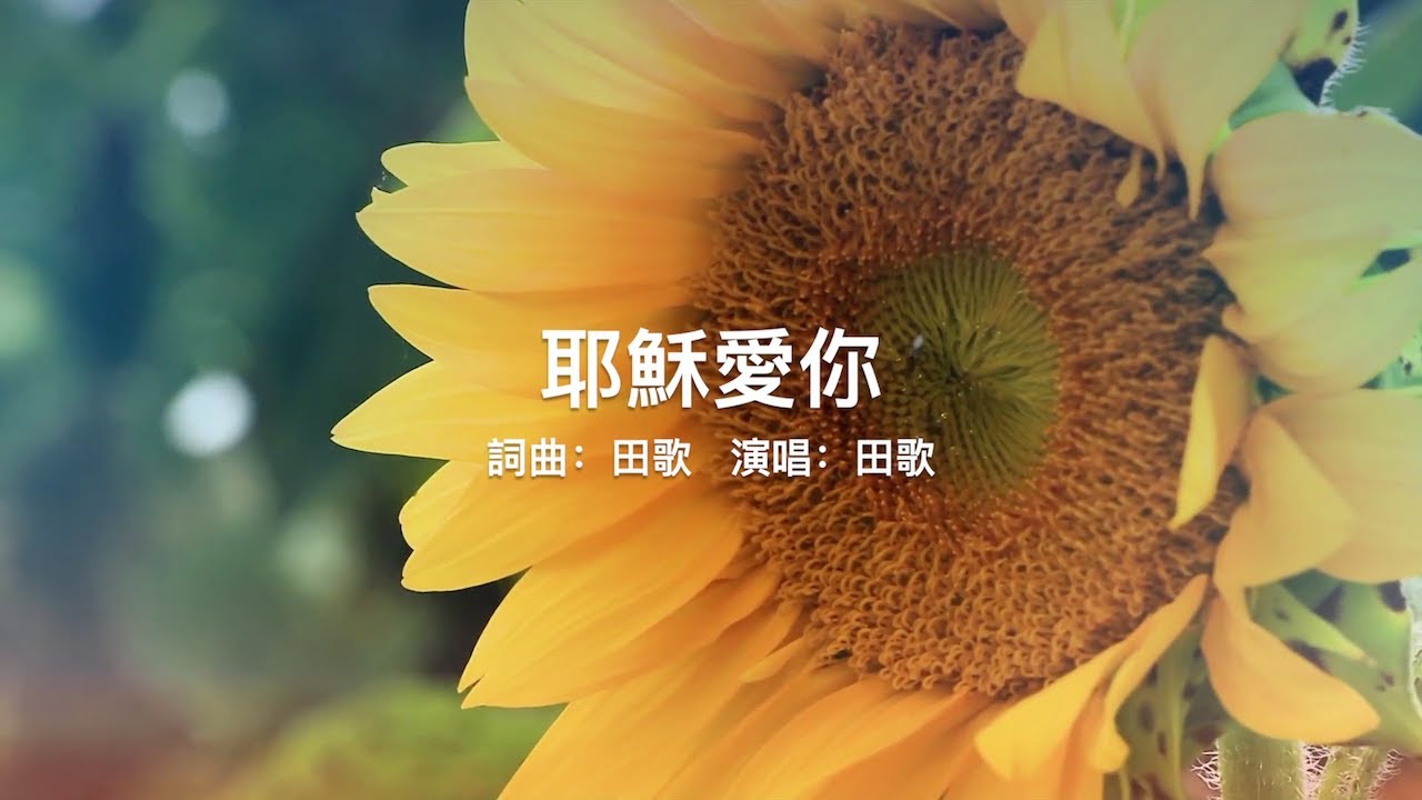 【耶穌愛你】【田歌的贊美詩歌集】華語福音歌曲