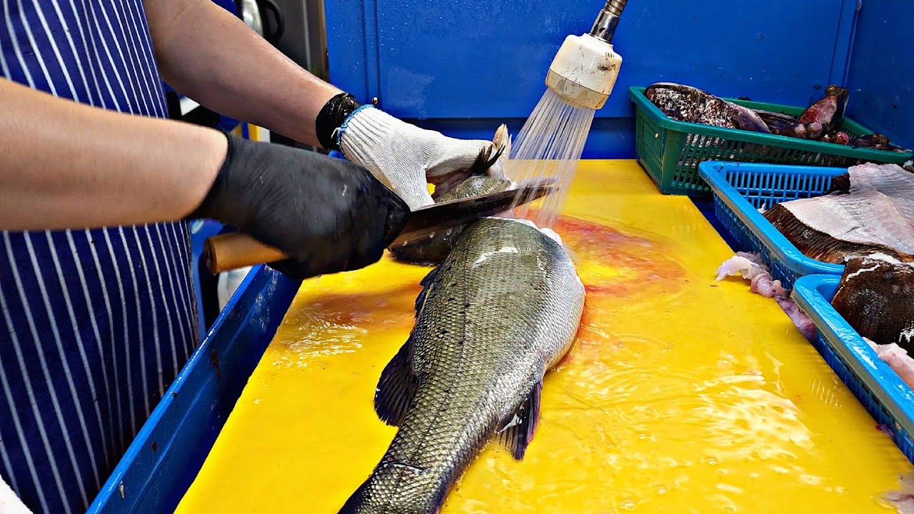 비늘 제거하지 않고 농어회뜨기! sea bass