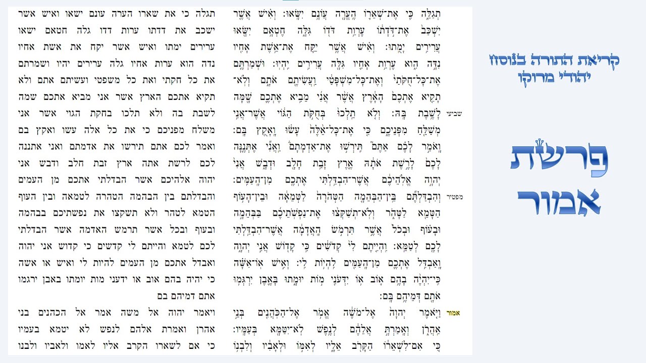 פרשת אמור - קריאת התורה בנוסח יהודי מרוקו