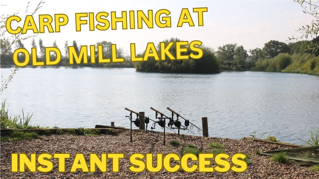 48hrs CARP FISHING AT OLD MILL LAKES #carpfishing2024