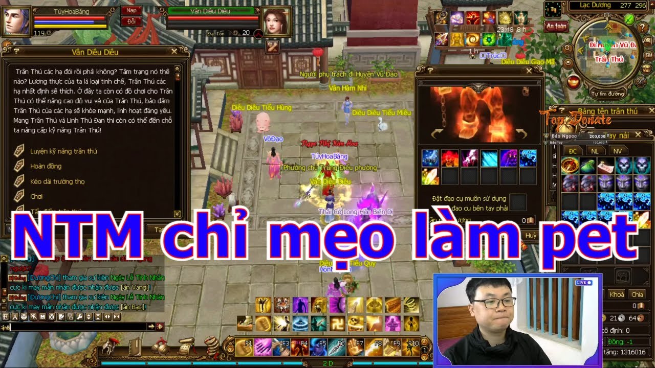 NTM HƯỚNG DẪN BẠN LÀM PET SAO CHO MẠNH NHẤT