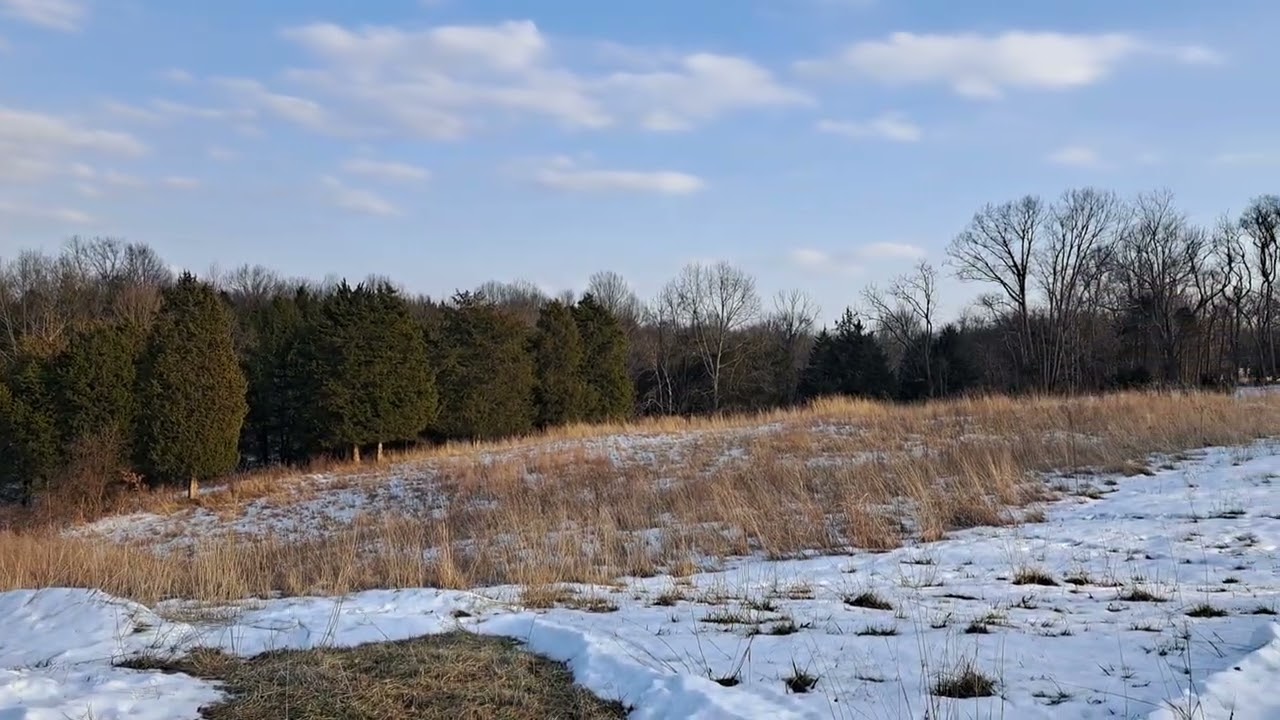 Land with snow, far end 
