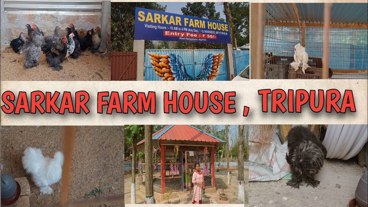 Sarkar Farm House Narayanpur,Agartala/Birds House Agartala