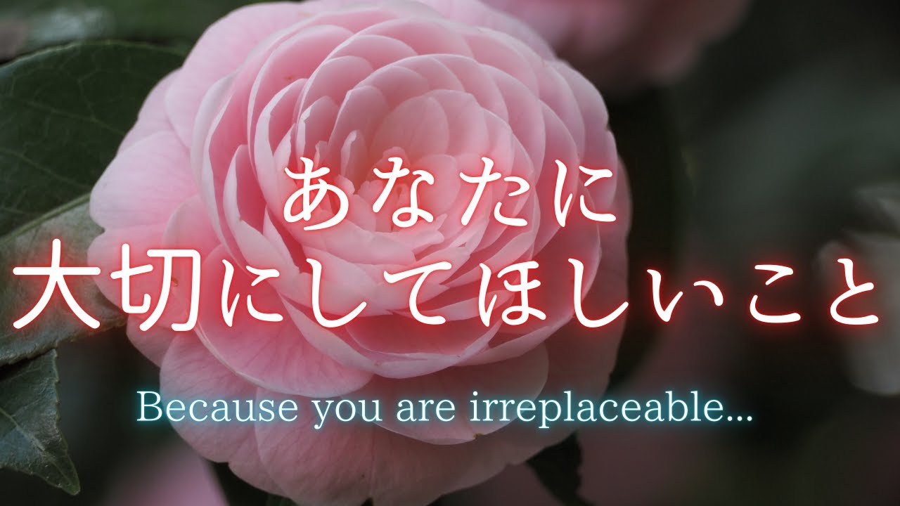 あなたに大切にして欲しい事🍀