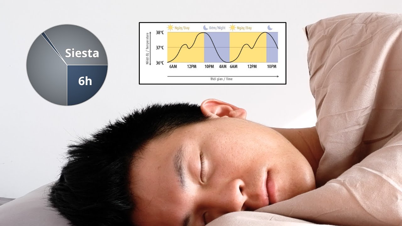 Ngủ ÍT được NHIỀU 💤 (khoa học MỚI)